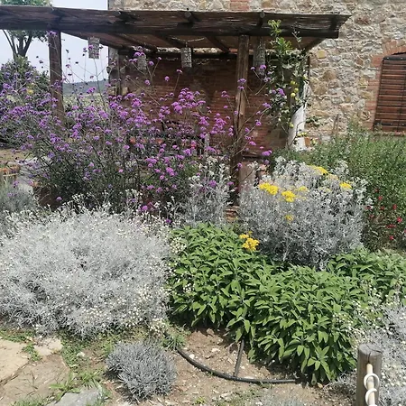 Affitti Brevi Toscana - Ospitalita In Campagna Apartment